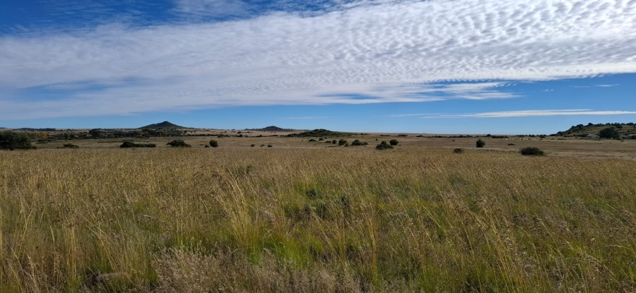 Commercial Property for Sale in Bloemfontein Rural Free State